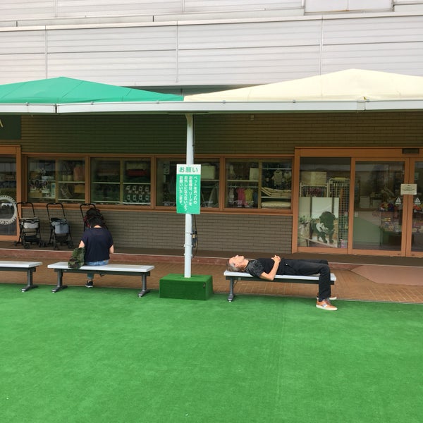 Fotos En 東急百貨店 渋谷 本店 屋上庭園 宇田川町 1 Tip De 199 Visitantes