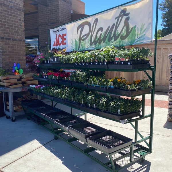 Walnut Creek Ace Hardware Northgate 2 tips de 189 visitantes