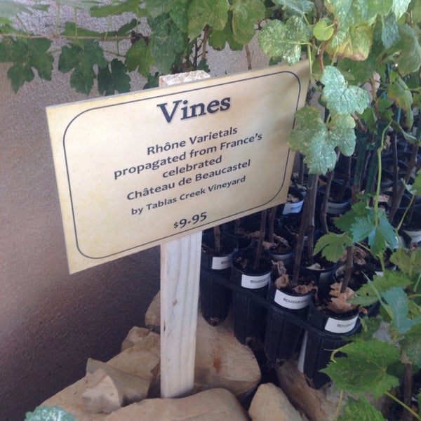 Buy a little vine to take home and plant (and in my case, probably kill off quickly...). Such a fun gift idea though.