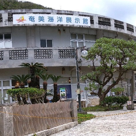 Photos At 奄美海洋展示館 Aquarium In 奄美市