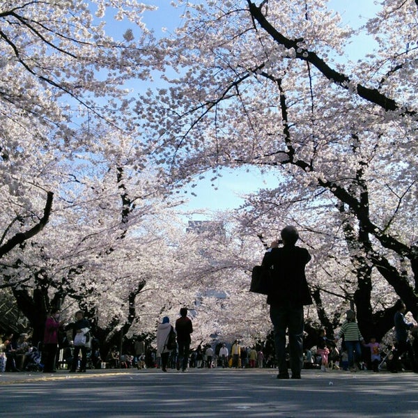 大岡山国立公園 閉業