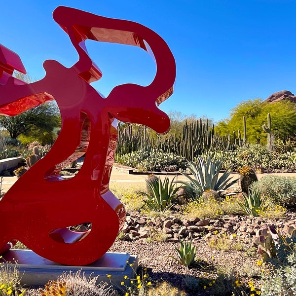 Photo taken at Desert Botanical Garden by Peter D. on 11/27/2022