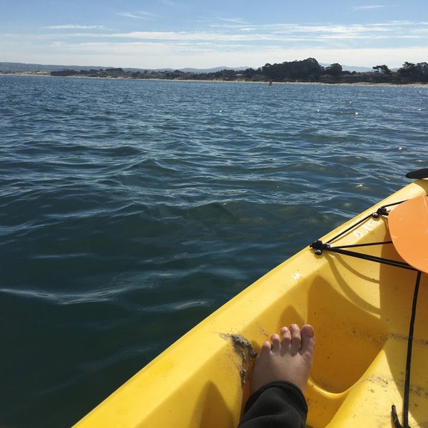 Monterey Bay Kayaks 9 tips from 356 visitors
