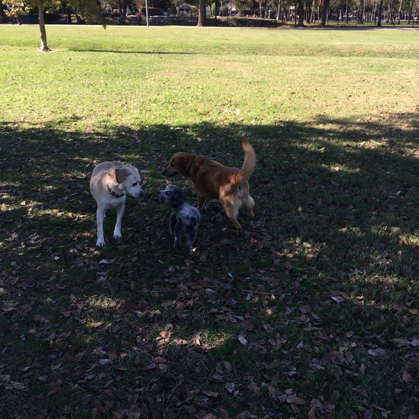 Katy Dog Park Katy, TX