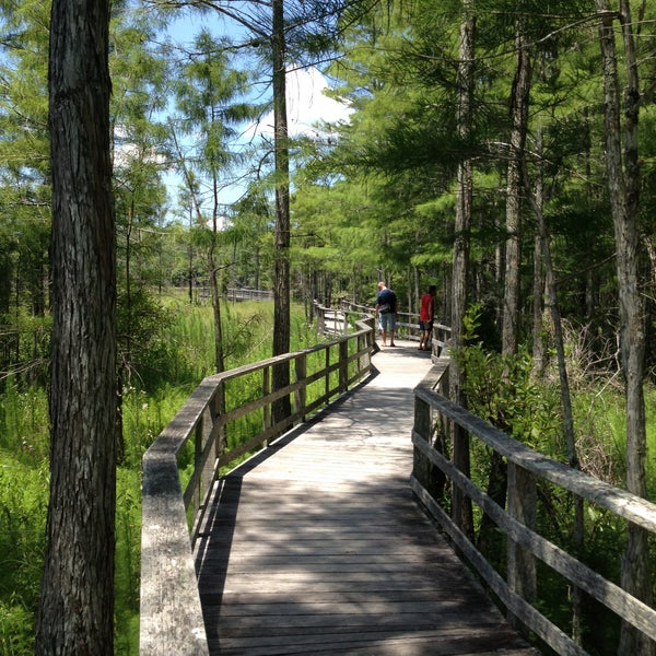 5/25/2013에 Vee B.님이 Audubon&#39;s Corkscrew Swamp Sanctuary에서 찍은 사진
