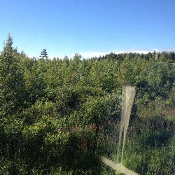 Железнодорожная станция проба. Рахья жд станция. Проба платформа. Деревня проба ленинградская область всеволожский район. Платформа 148 км приозерского района.