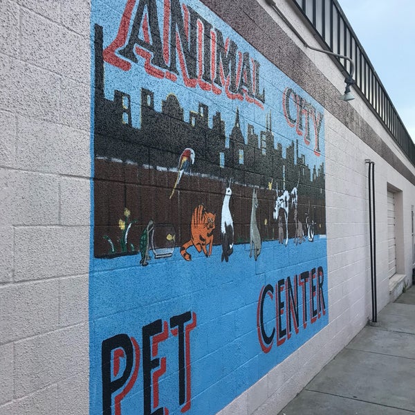 pet city murfreesboro pet city murfreesboro
