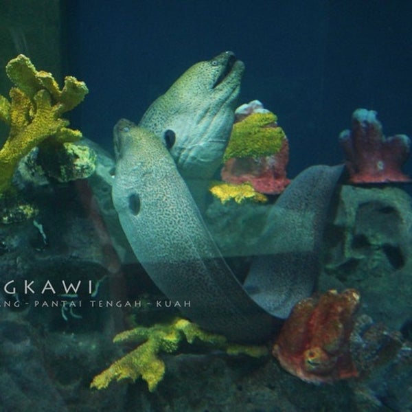 Photos at Underwater World Langkawi Aquarium