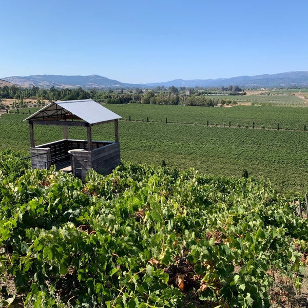 Photo taken at Viansa Winery by Noah W. on 7/26/2020