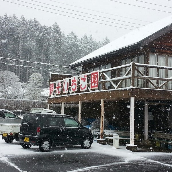 南那須観光いちご園 那須烏山市 栃木県