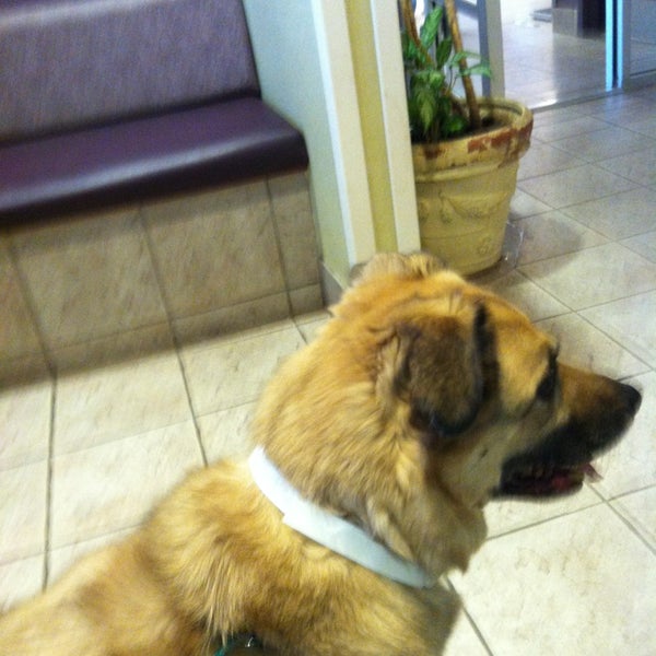 Photo taken at Oradell Animal Hospital by Mill M. on 4/10/2013