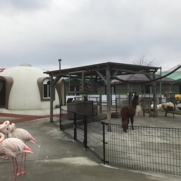 ふれあい動物王国 阿蘇ファームランド 南阿蘇村 熊本県