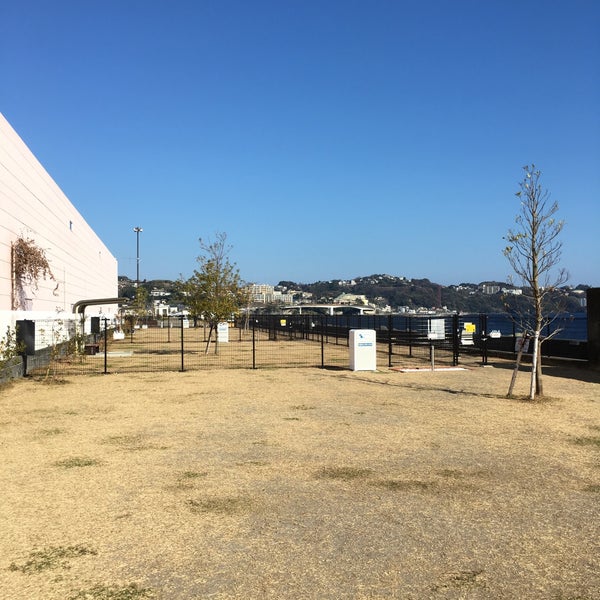 湯河原海辺公園ドッグラン Dog Run In Yugawara Machi