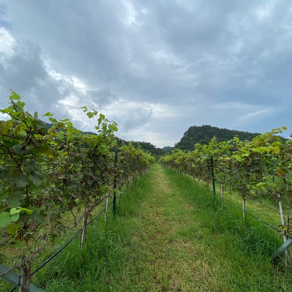 Foto tirada no(a) GranMonte Vineyard and Winery por Péter S. em 10/22/2021