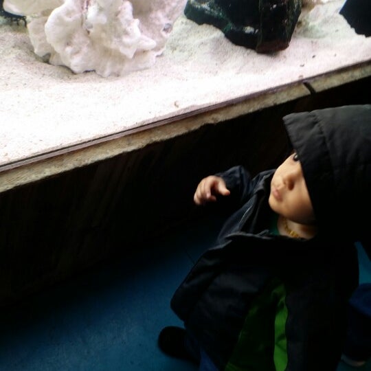 4/17/2014 tarihinde Roberto D.ziyaretçi tarafından Old Town Aquarium'de çekilen fotoğraf