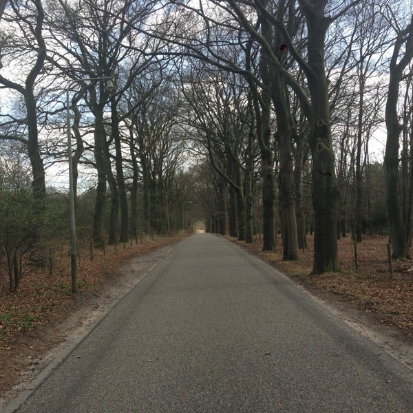 Три вира интернет магазин. Вир 3. Вир 3. Инта-вир актара 1,2 мл. Клапан ручной балансировочный муфтовый ру25 ду15 vir9505.