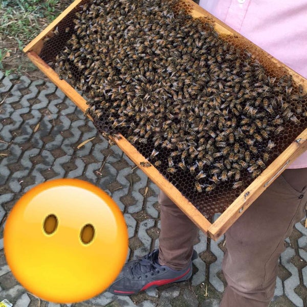 Photo taken at Big Bee Farm (Pattaya) by Mega R. on 7/7/2016