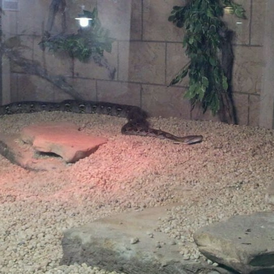 Foto tirada no(a) Reptilia por Johnny D. em 4/22/2012