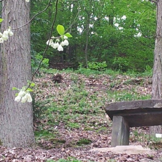 Forstbotanischer Garten Tharandt Tharandt Sachsen