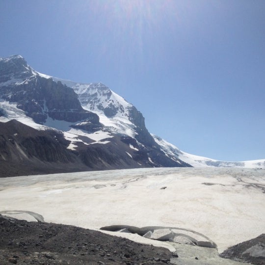 Ice fields. Ice fields
