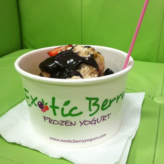 Exotic Berry Frozen Yogurt Frozen Yogurt Shop