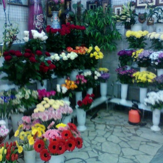 Цветомания цветы в каждый дом киров. Цветомания Куйбышева 20. Буздяк группа Цветомания. Цветомания 64, Орбита Саратов. Цветомания Майкоп каталог.