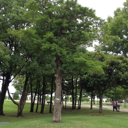 Photos At 佐賀県立森林公園 佐賀市 佐賀県