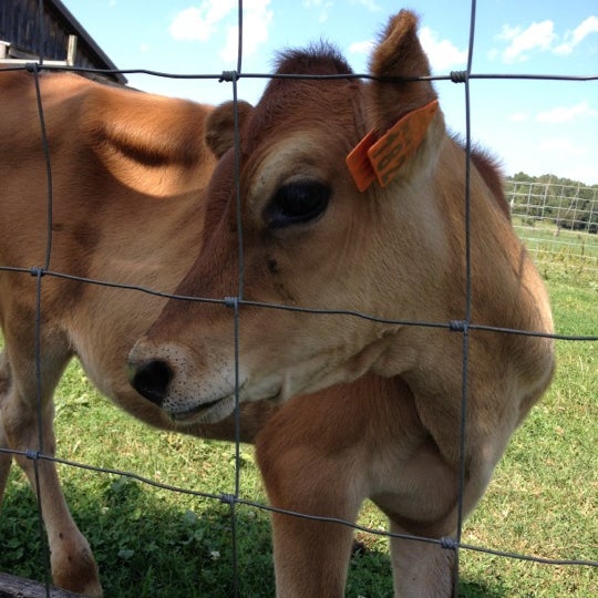 รูปภาพถ่ายที่ Sprout Creek Farm โดย John M. เมื่อ 9/1/2012