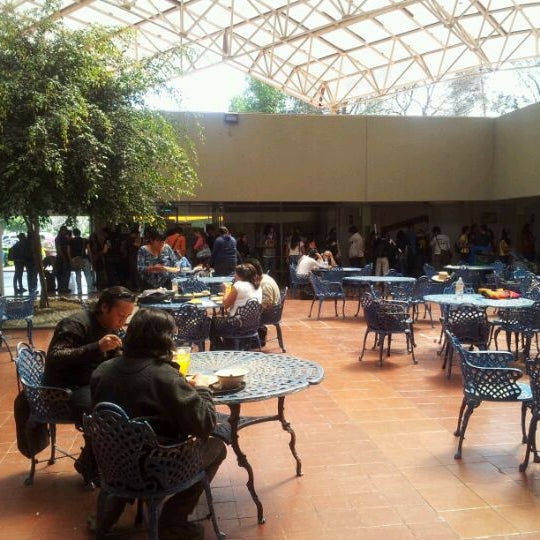 Descobrir 87+ imagem uam xochimilco cafeteria