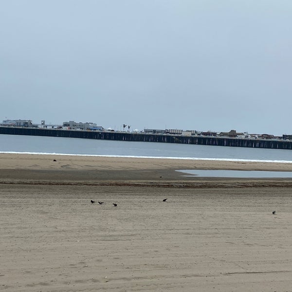 5/19/2023 tarihinde Arzu B.ziyaretçi tarafından Santa Cruz Beach Boardwalk'de çekilen fotoğraf