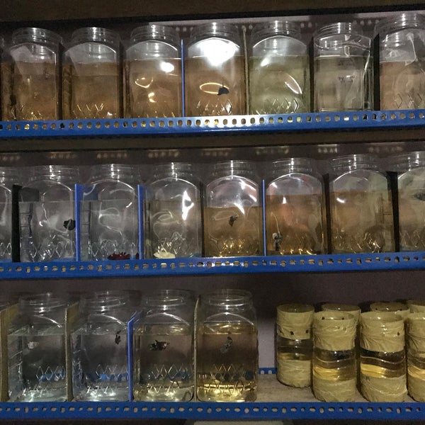 Alamat Bank Rakyat Cawangan Jasin / Lebih penting lagi, bagaimana cara