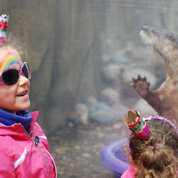 Foto scattata a The Children&#39;s Zoo at Celebration Square da The Children&#39;s Zoo at Celebration Square il 4/28/2015
