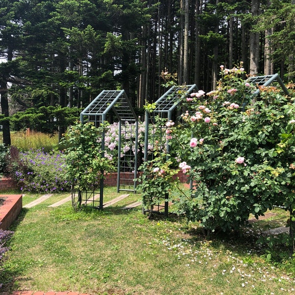 Photos At いわみざわ公園 バラ園 志文町1015