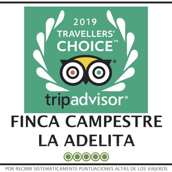 Travellers Choice 2019