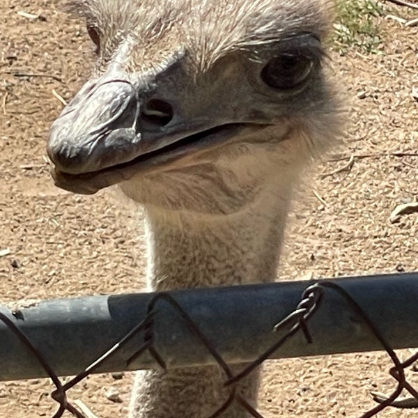 Photo taken at Wildlife World Zoo, Aquarium &amp; Safari Park by Debi F. on 10/7/2023