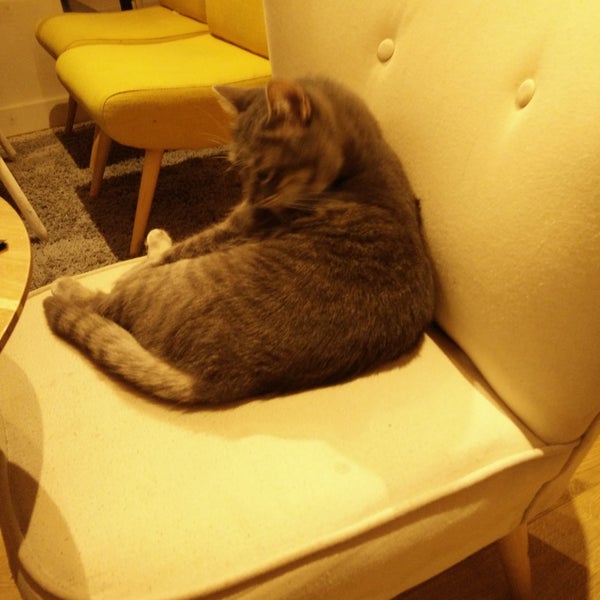 Photos At Chapristea Saint Rome 6 Rue Jules