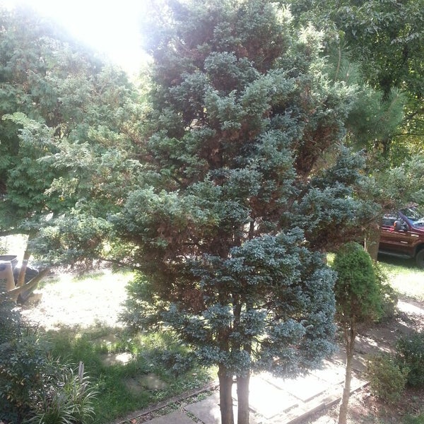 Woodmoor Silver Spring, MD