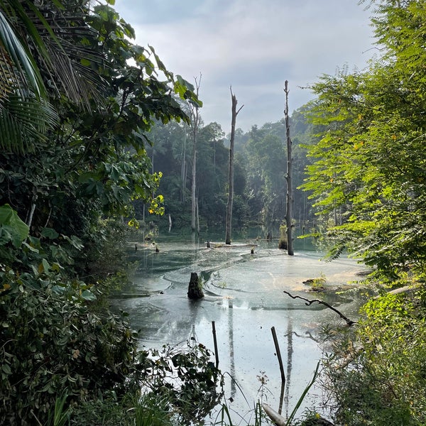 Photos At Peak Garden Setia Alam Community Trail