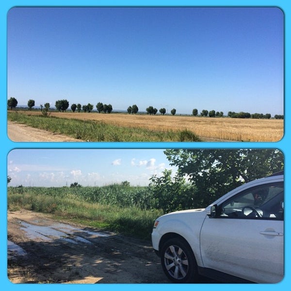 светлый путь ленина краснодарский