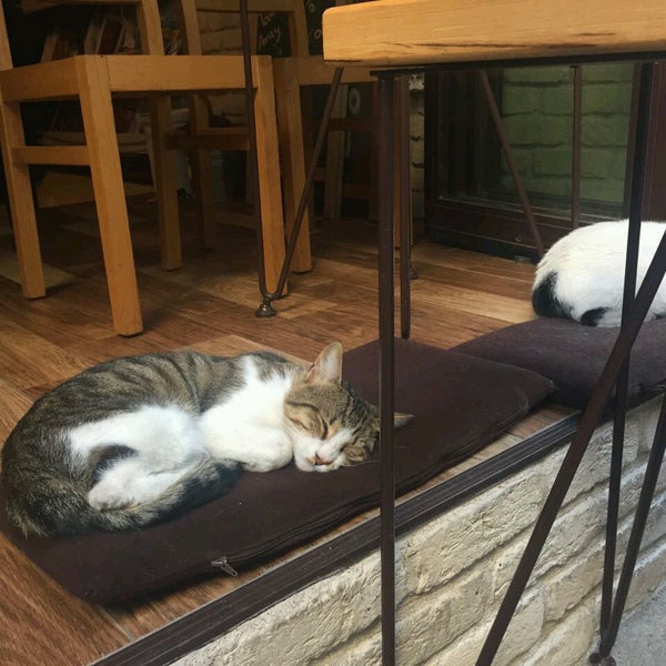 Das Foto wurde bei Tribu Caffe Artigiano von Fatma Ş. am 9/29/2016 aufgenommen