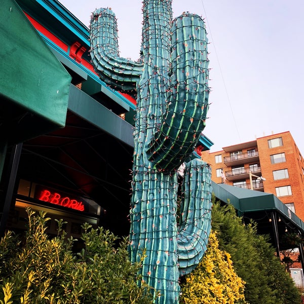 12/8/2018 tarihinde Dee Gee Beeziyaretçi tarafından Cactus Cantina'de çekilen fotoğraf