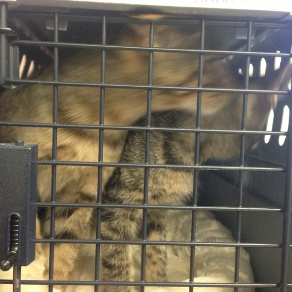 Memorial Beach Veterinary Hospital Veterinarian in Healdsburg