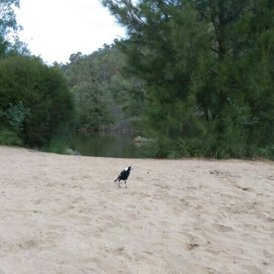 Kambah Pool Kambah 1 tip Kambah Pool Kambah 1 tip