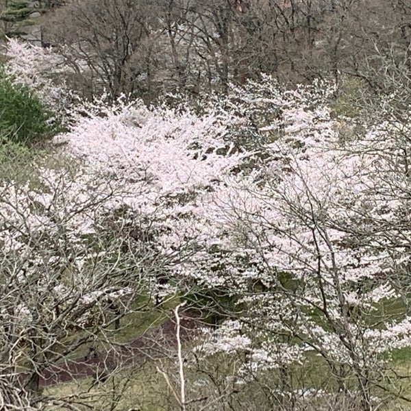 Photos At 南部山公園 八戸市 青森県