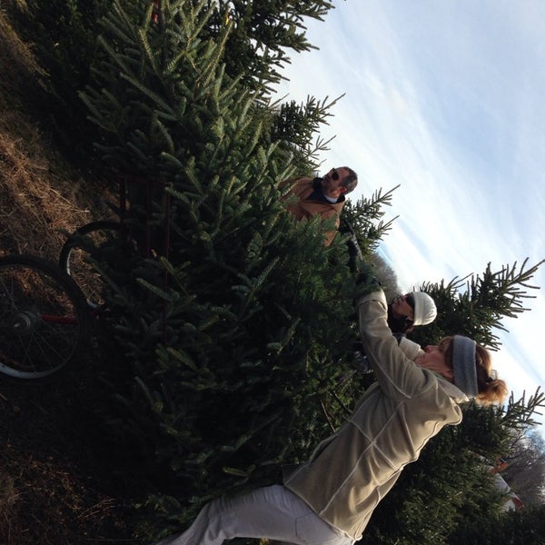 Hartika's Tree Farm Shetucket Turnpike Road