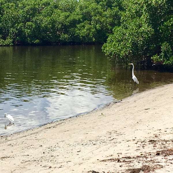 Photos at Cockroach bay boat ramp Ruskin, FL