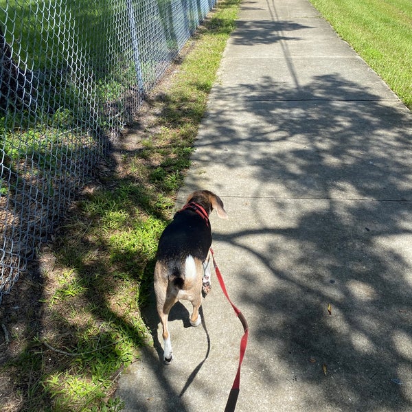 Safety Harbor Middle School Middle School in Safety Harbor