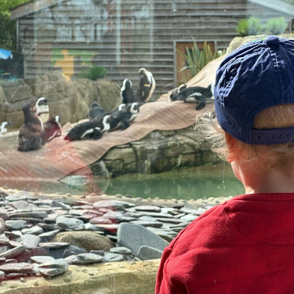 Foto diambil di Hertfordshire Zoo oleh Lukáš V. pada 4/13/2024