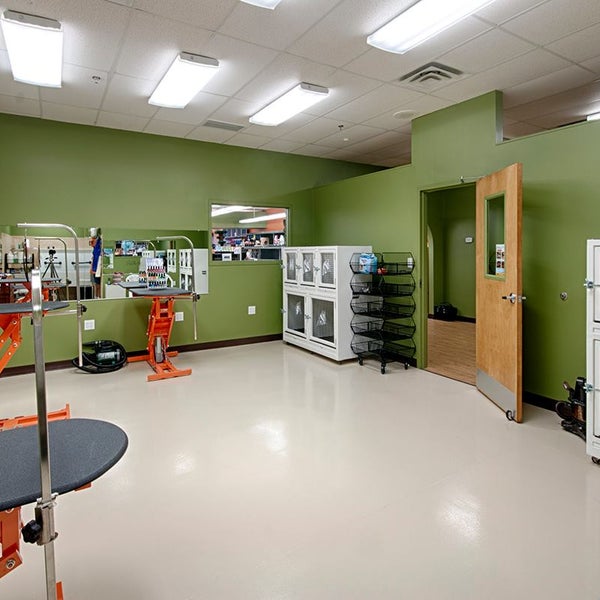 EarthWise Pet Supply 3 tips