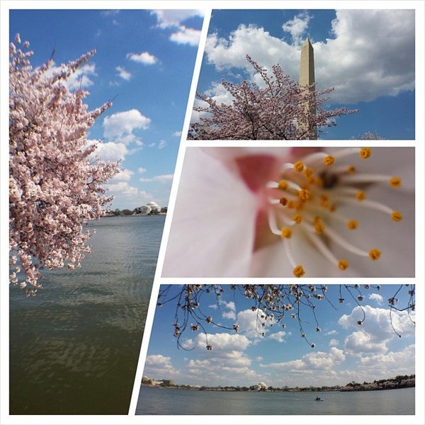 Photo taken at Tidal Basin Paddle Boats by Troy P. on 4/9/2014